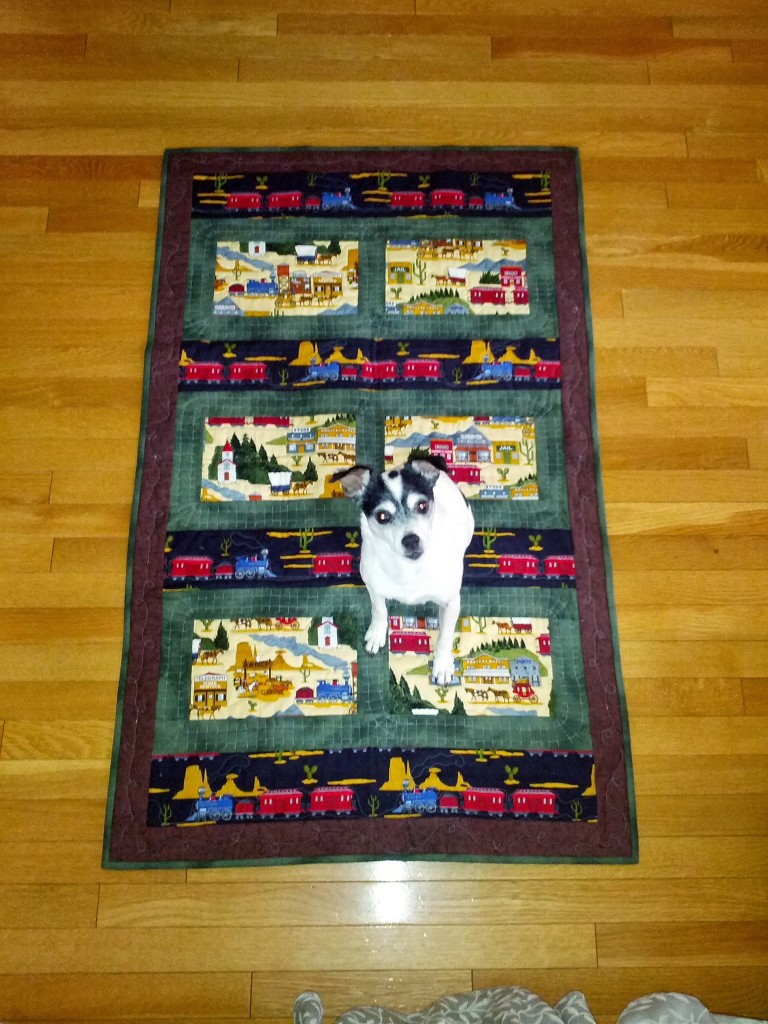 Green Train Quilt. Personal pattern. Quilted on the long-arm. 